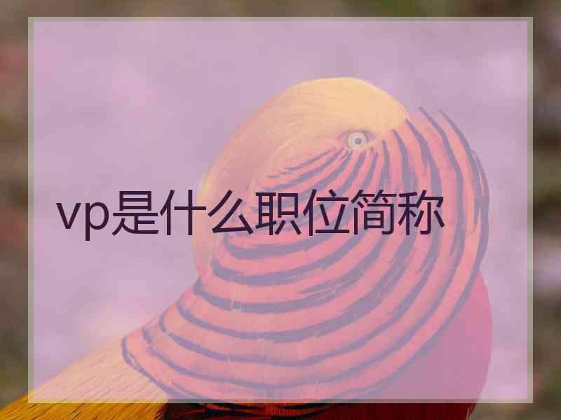 vp是什么职位简称
