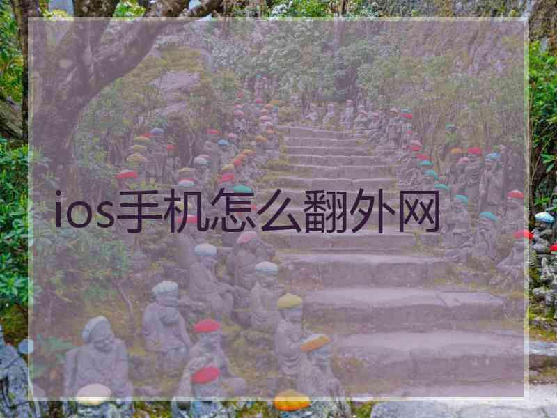 ios手机怎么翻外网
