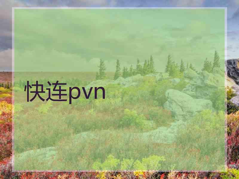 快连pvn