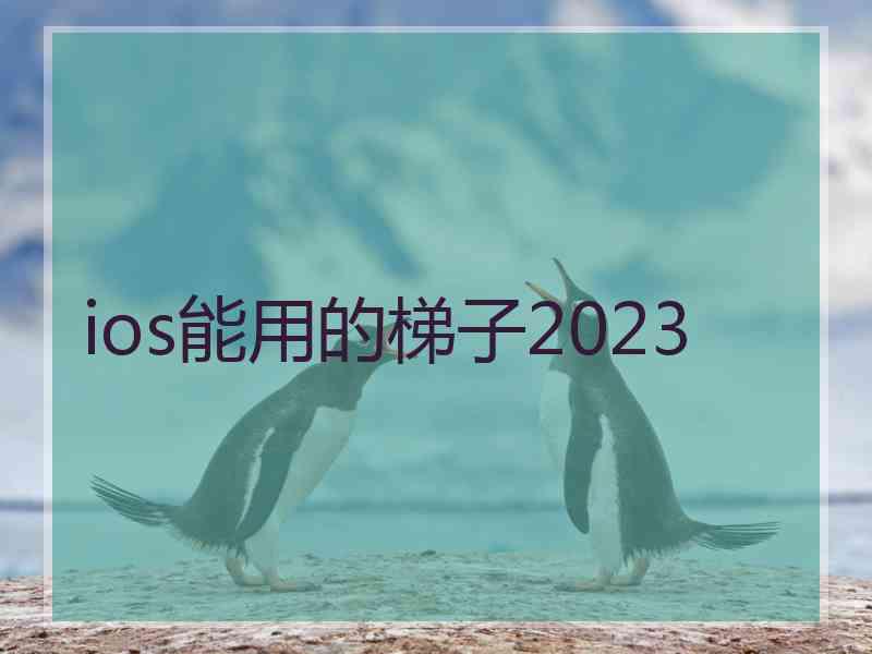 ios能用的梯子2023