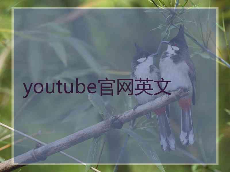 youtube官网英文