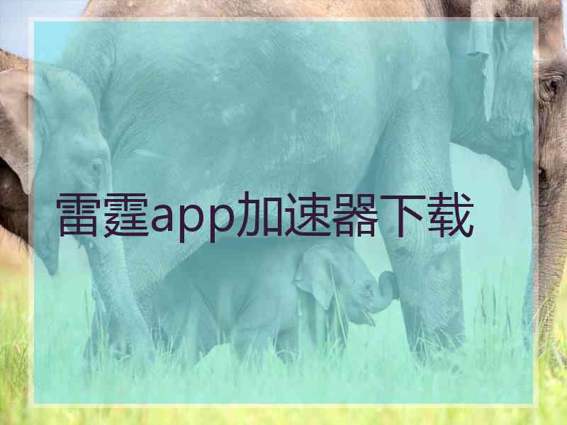 雷霆app加速器下载