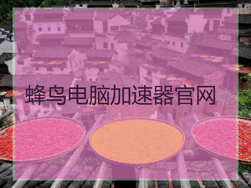 蜂鸟电脑加速器官网