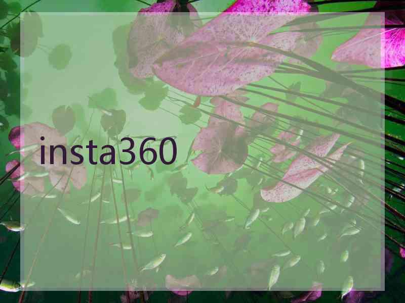 insta360 insta360