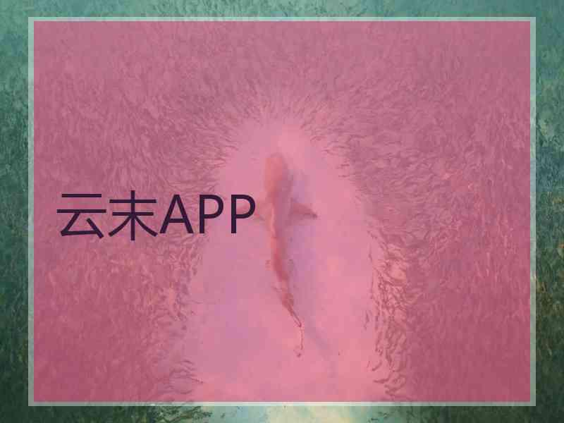云末APP