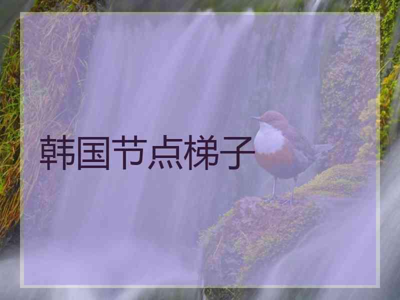 韩国节点梯子