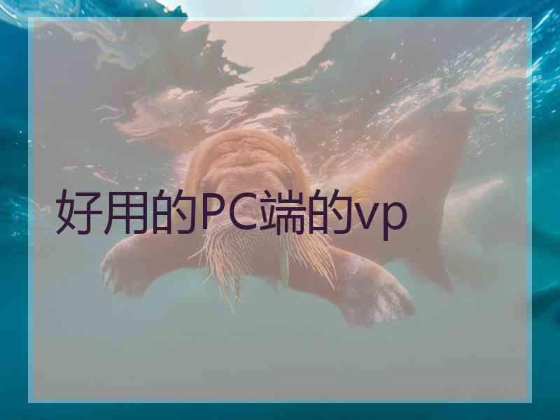 好用的PC端的vp