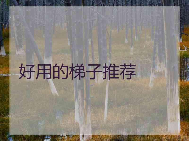 好用的梯子推荐