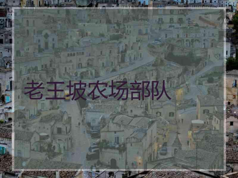 老王坡农场部队 老王坡农场部队