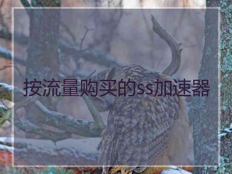 按流量购买的ss加速器