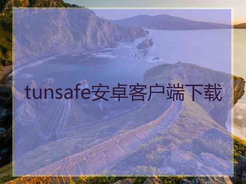 tunsafe安卓客户端下载