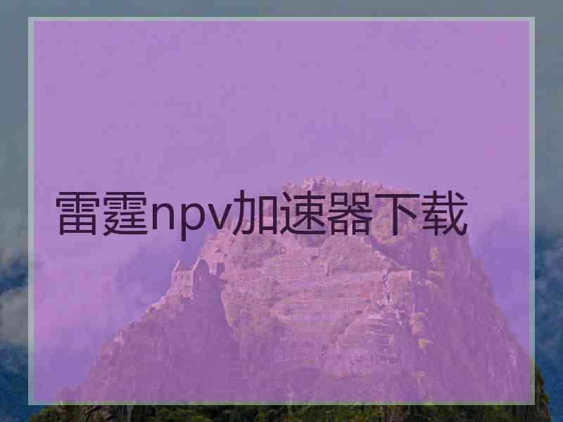 雷霆npv加速器下载